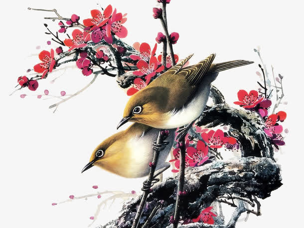 花枝免抠
