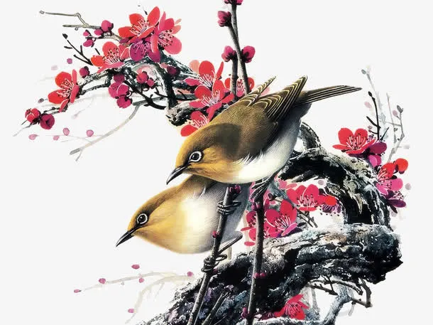 花枝免抠