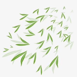 清新小花卡通插画15免抠