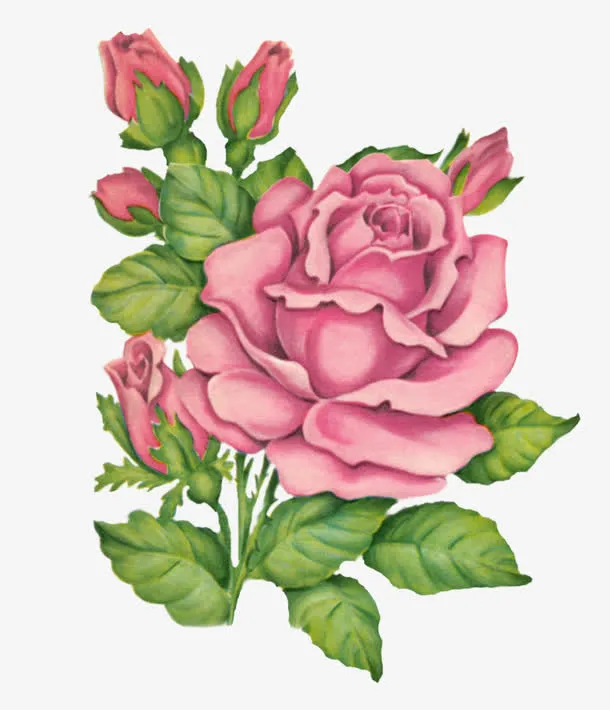 手绘花朵素材抽象鲜花图片免抠