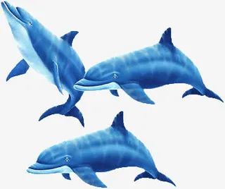 创意生活在海底的海豚免抠