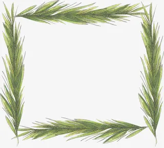 绿叶组成的边框免抠