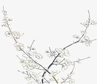简笔梅花免抠