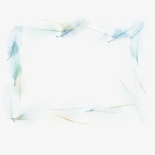 小清新树叶边框免抠