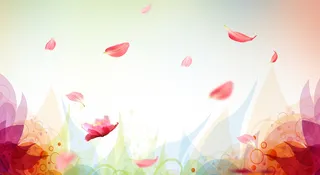 花瓣彩色温馨浪漫背景高清