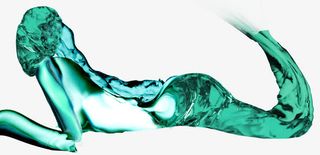 漂浮花瓣气泡简洁大方树叶树丛免抠