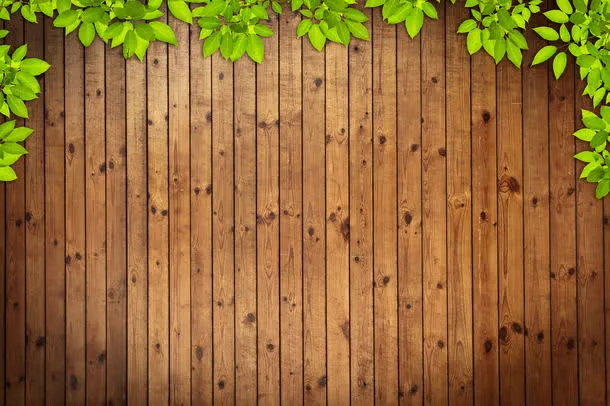 木板背景绿叶边框