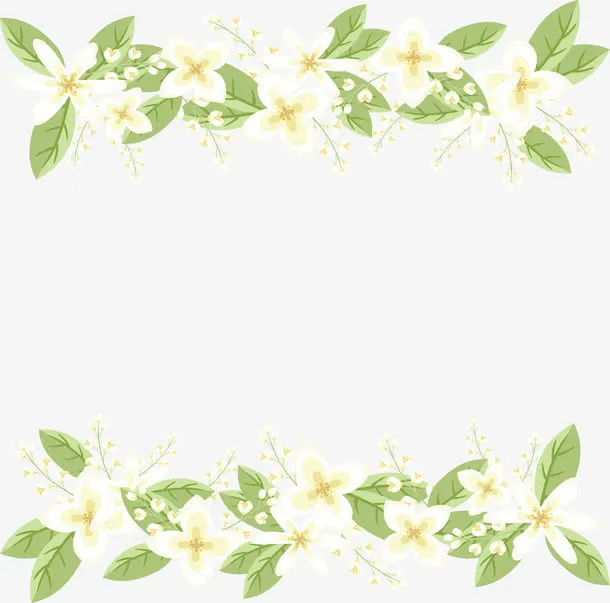 小清新白色花朵边框免抠