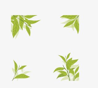 清香绿色夏季茶叶免抠