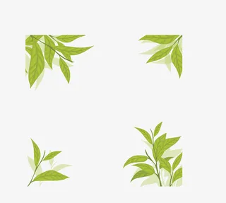 清香绿色夏季茶叶免抠