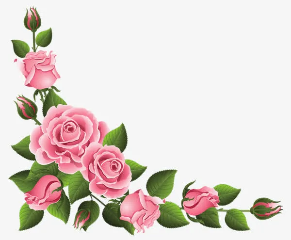粉色月季花边框免抠