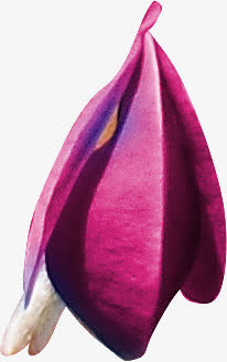 紫花免抠
