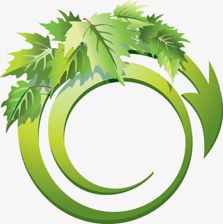 绿树箭头指示树叶免抠