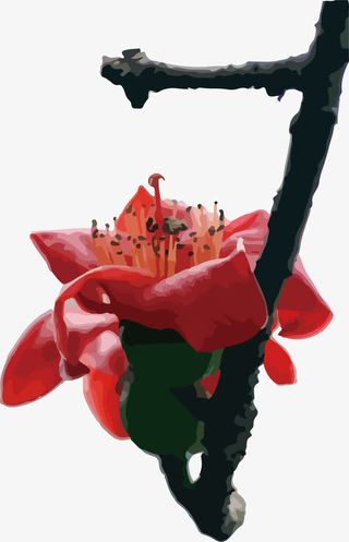 挂在树枝上的单枝木棉花免抠