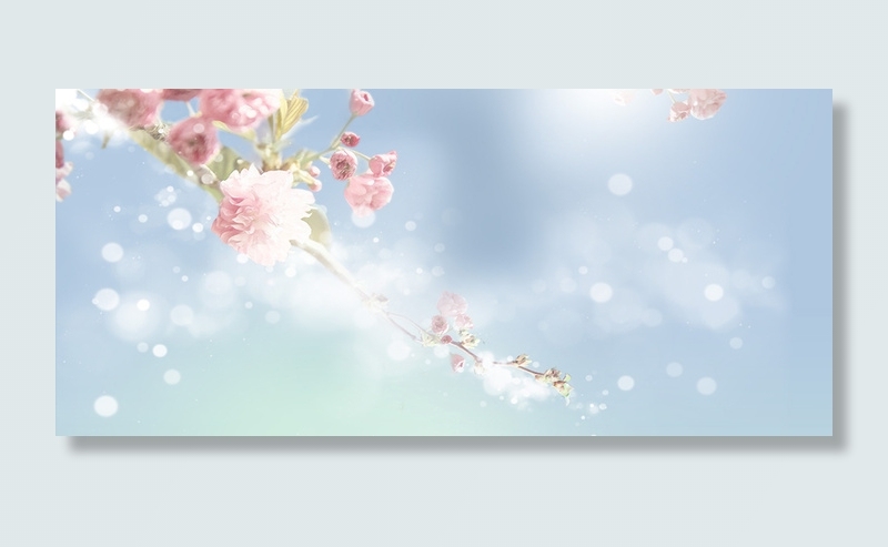 春暖花开banner背景高清