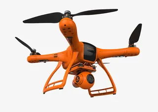 朱雀仰视图免抠