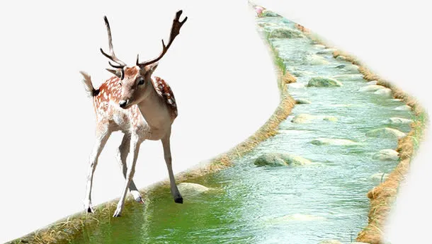 小河梅花鹿免抠素材免抠