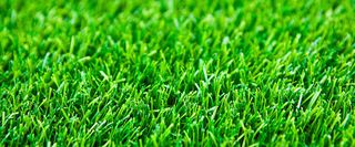 绿色草坪背景高清