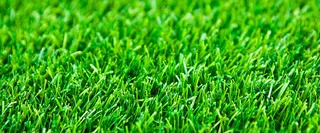 绿色草坪背景高清