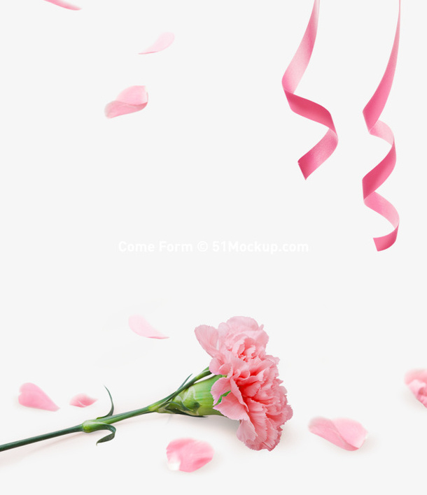 康乃馨丝带教师节感恩免抠