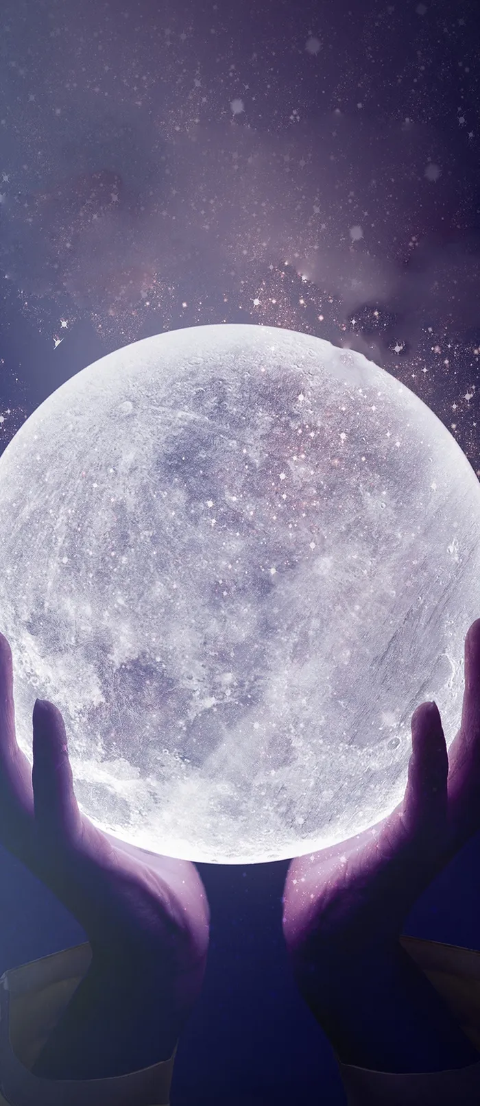 紫色梦幻中秋节月夜浪漫插图高清