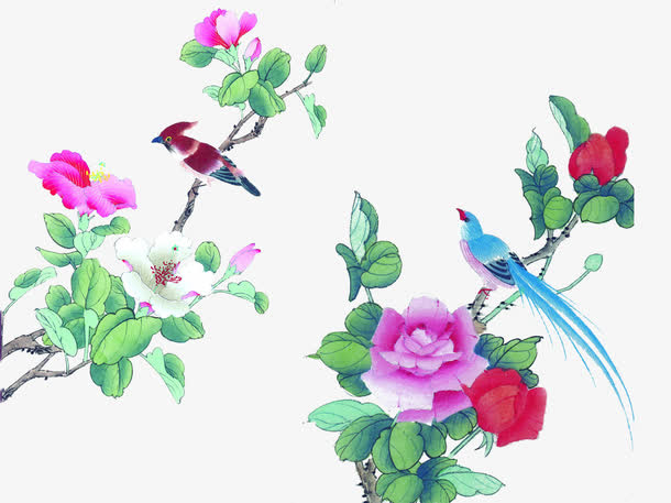 中国风花鸟素材免抠