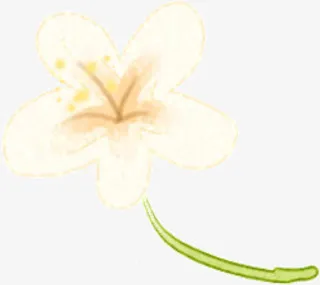 可爱唯美花朵植物免抠