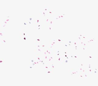 桃花花瓣    节日   鲜花免抠