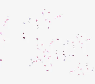 桃花花瓣    节日   鲜花免抠