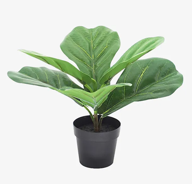 绿色植物盆栽免抠