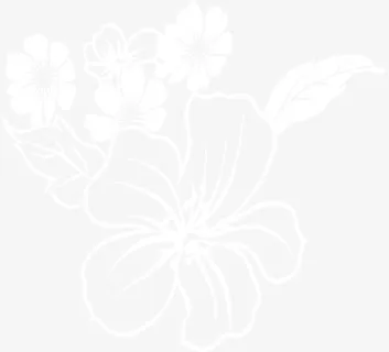 透明白色花朵美容院招聘素材免抠