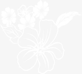 透明白色花朵美容院招聘素材免抠