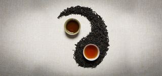 茶叶太极图案背景图高清