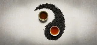 茶叶太极图案背景图高清