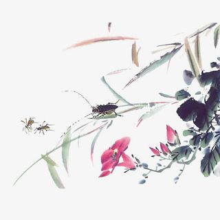 中国风水墨画牵牛花免抠