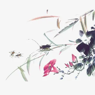 中国风水墨画牵牛花免抠