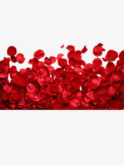 玫瑰花瓣免抠漂浮花瓣元素