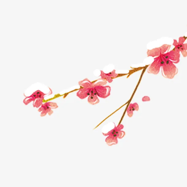 红色梅花免抠