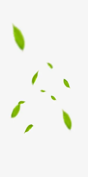 文艺小清新绿色落叶装饰免抠