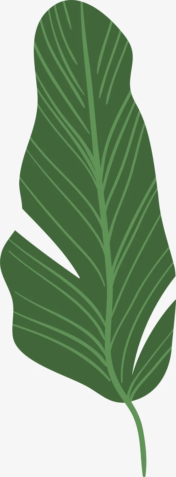 绿色枝桠经脉芭蕉叶免抠