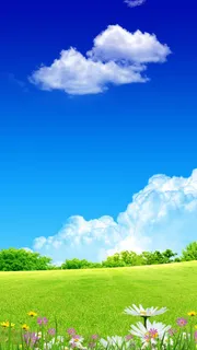 蓝天绿地春天H5背景高清文艺清新背景 蓝天绿地春天H5背景高清文艺清新背景