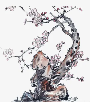 古风梅花免抠