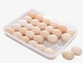 多格鸡蛋保鲜盒素材免抠