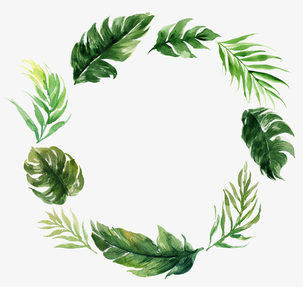 花草边框花圈免抠