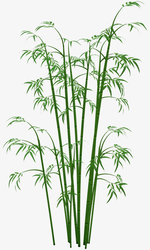 国风，绿色，竹子，免费抠图免抠