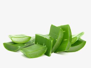 芦荟免抠