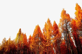 承德御道口风景图片免抠