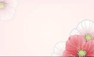 清新名片背景素材高清