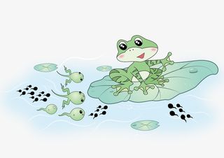 小蝌蚪找妈妈啦免抠