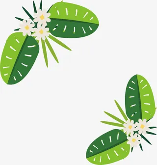 白色碎花装饰框免抠